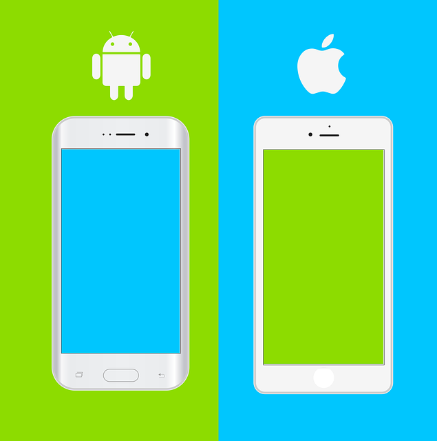 iOS 14 versus Android 11